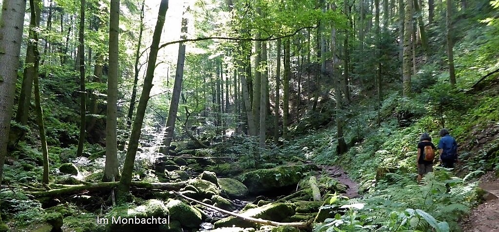 Wandertipps von Michael Erle Michael Erle