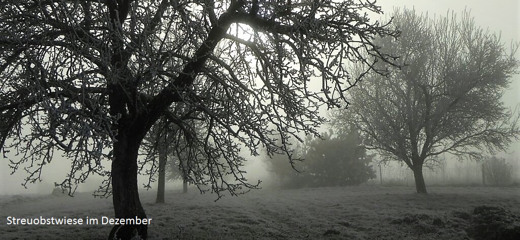 Wandertipps von Michael Erle Michael Erle