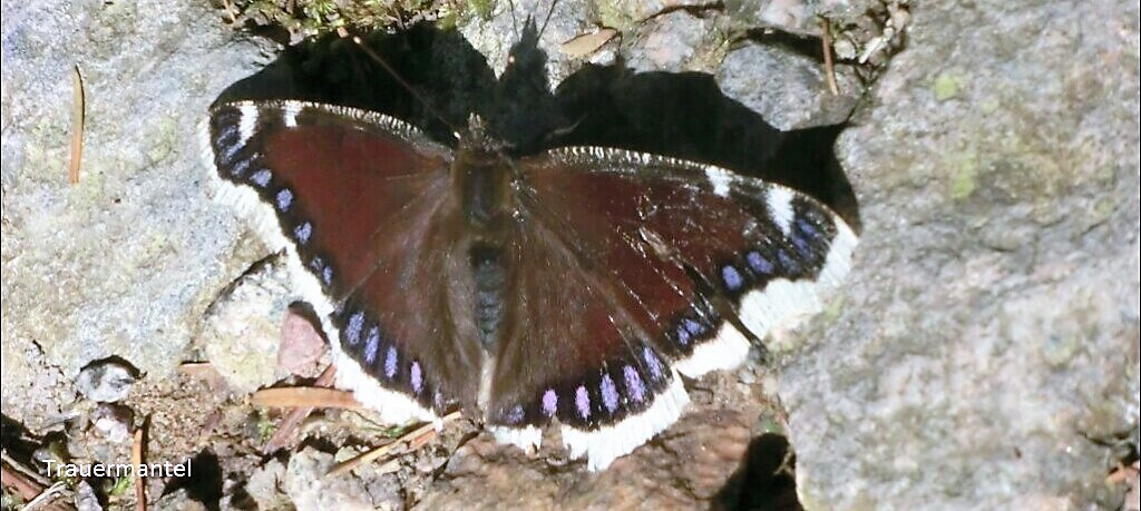 Wandertipps von Michael Erle Michael Erle